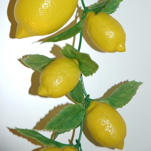 Guirlande citron