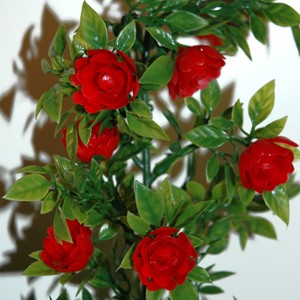 Guirlande de rose